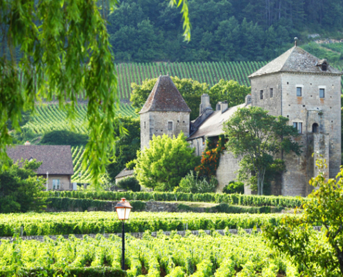 traditional-winery-visit-central-france