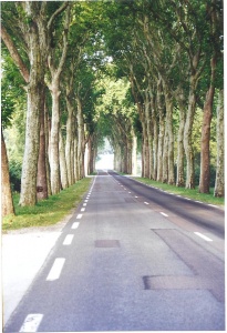 Summer Roads of France