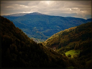 Black Forest - Fall Schwarzwald